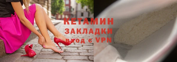 гидра Нестеровская