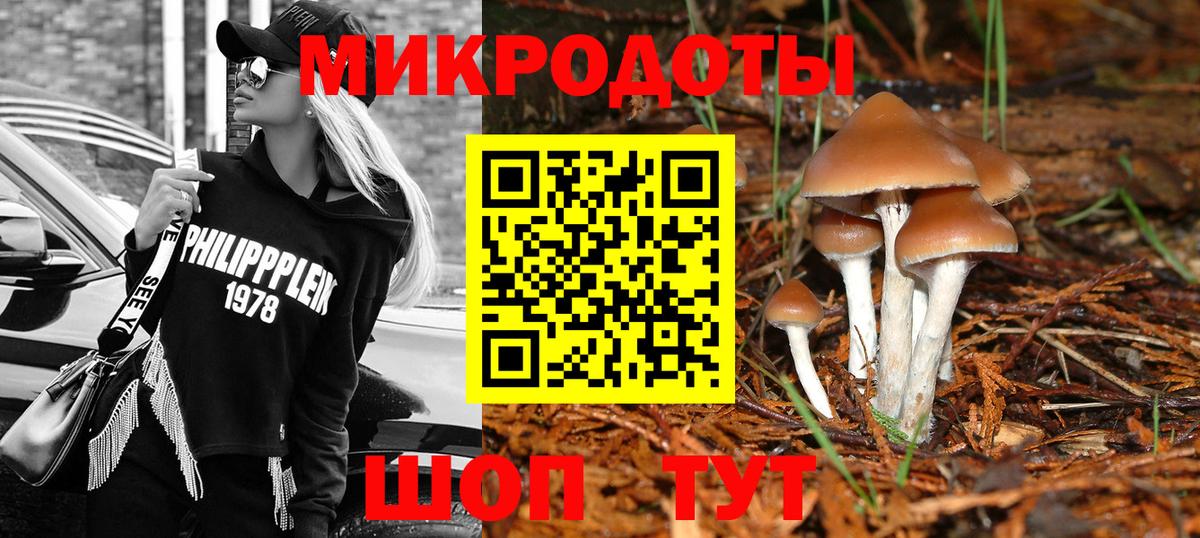 Псилоцибиновые грибы MAGIC MUSHROOMS  Псилоцибиновые грибы прущие грибы  Вход с VPN  Самара 