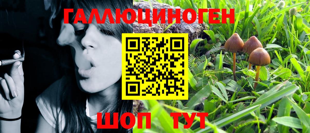 Псилоцибиновые грибы Psilocybe Самара